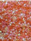 Holographic Star Orange Sequence