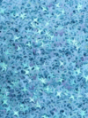 Holographic Star Blue Sequence