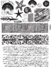 Redesign Adhesive Transfer - Rustic Sea 18"x24"